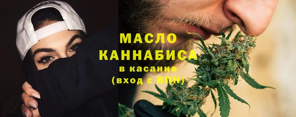 индика Костерёво