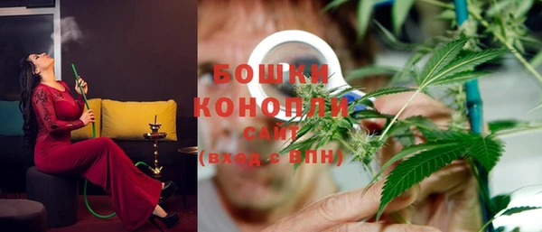 PSILOCYBIN Краснотурьинск