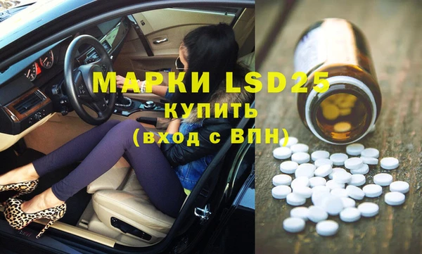 прущие грибы Пенза