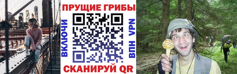 продажа наркотиков  гидра рабочий сайт  Псилоцибиновые грибы мицелий  Мамоново 